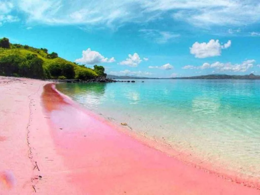 Pantai tiga warna yang menawan menjadi destinasi utama paket tour malang kategori Pantai
