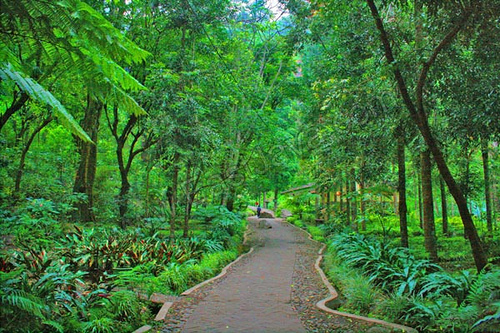 Lokasi outing Coban Rondo Batu Malang