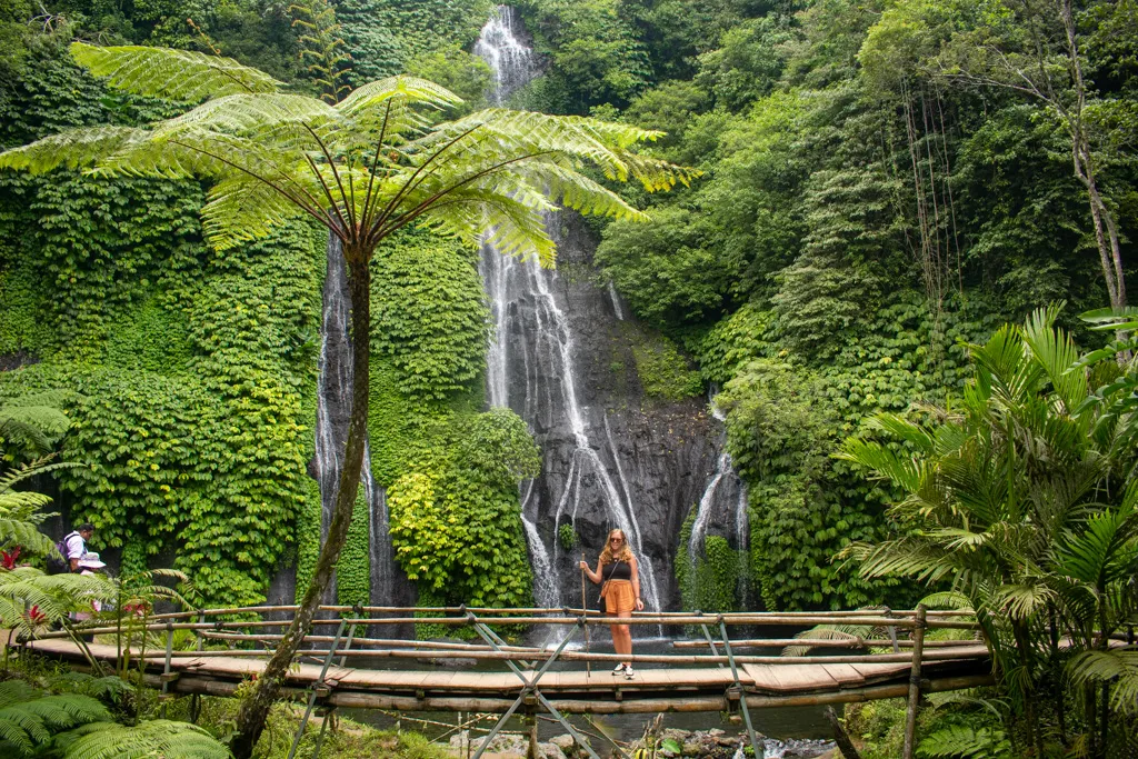 Pemandangan Paket Tour Air Terjun Banyumala Bali Twin Waterfalls yang memukau