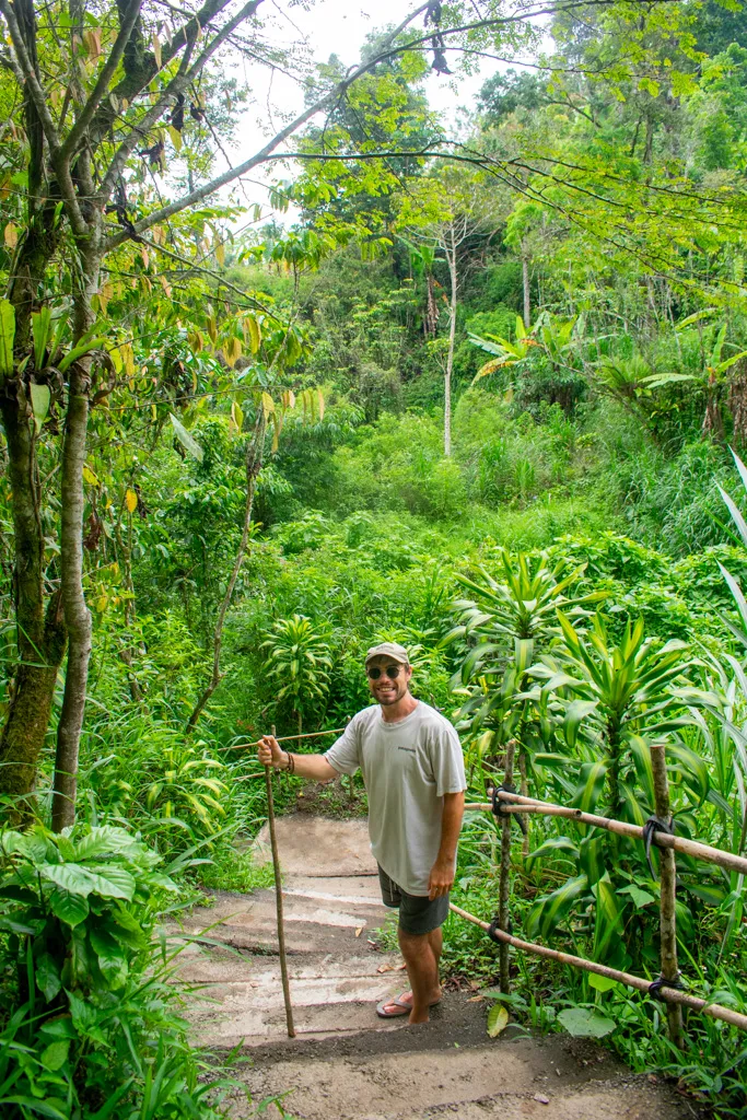 Jalur trekking hijau dalam paket wisata bali ke Banyumala