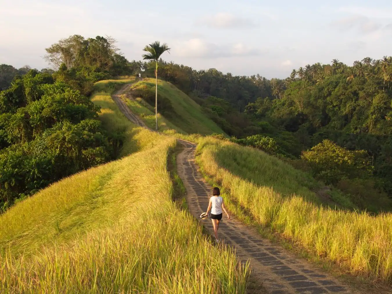 Trekking pagi di Bukit Campuhan Ubud wisata asri di Bali